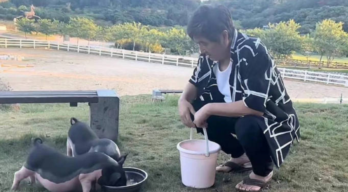 台灣人的熟麪孔！70歲資深男星「北漂養豬」扛生計　滿頭白髮「近況曝光」